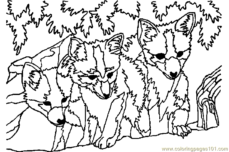 baby fox coloring pages to print - photo #42