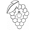 Grape
