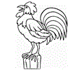 Rooster