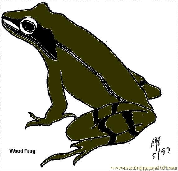 free printable coloring image Woodfrog B