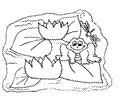 2 Frog Coloring Pages S