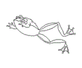 Coloring Frog5