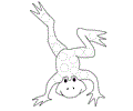 Bdauber Frogs1