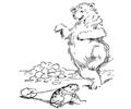Bear And Frog Coloring Page