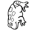Bfrog