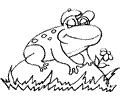 Frog1
