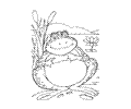 Frog 3