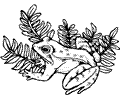 Frog7