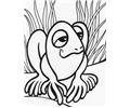 Frog9