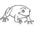 Frog (2)