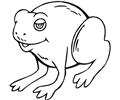 Frog (3)