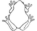 Frog (9)