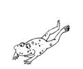 Normal 14 Color Frog