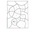 Coloring Turtle