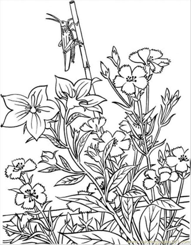garden coloring pages for adults - photo #10