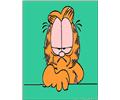 Garfield Surly