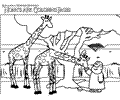 Giraffes
