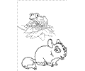 Go Diego Go Coloring Page 14
