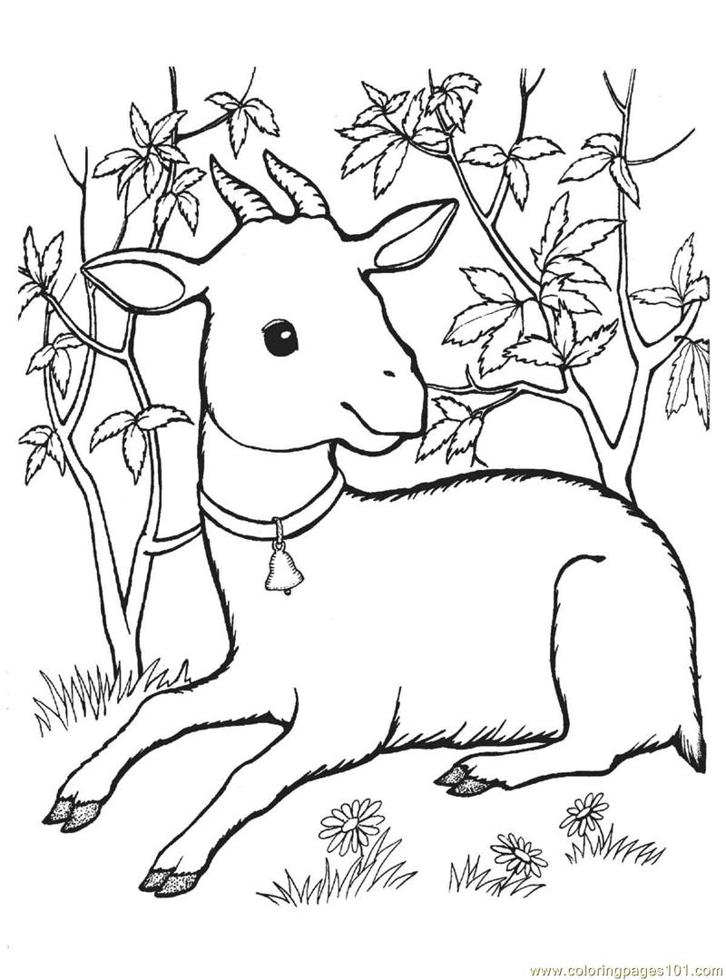 g for goat coloring pages - photo #47