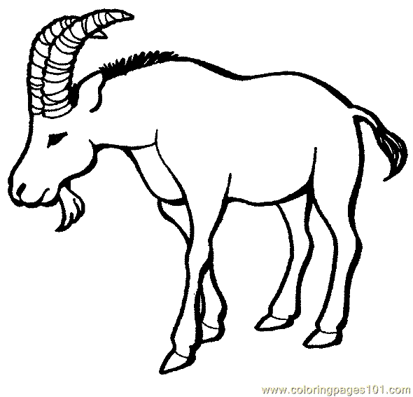 Coloring Pages Goat Coloring Page 14 (Animals > Goat) - free printable ...