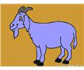 Goat Coloring Page 10