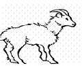 Goat Coloring Page 12