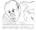Gorillaclose