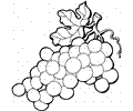 Grape 4