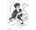 Harry Potter (7)