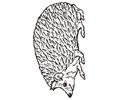 The Mitten Mural Hedgehog Coloring Page