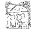 Hippo (5)