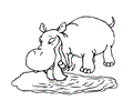 Hippo (7)