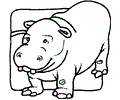 Hippo (9)