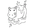 Hippo