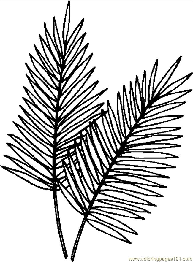 palm branches coloring pages - photo #3