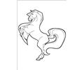 Horseland 20