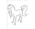 Horseland 22