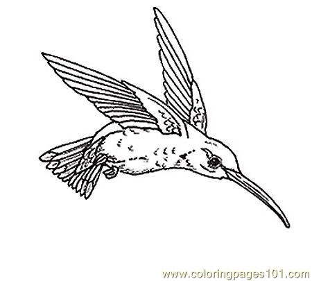 Umbrella Mural Coloring Hummingbird Reverse