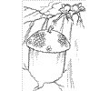 Ice Age Coloring Page 03