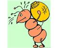 Ant7