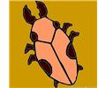 Bug With Small Feet 