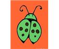 Insects Lady Bug Shell