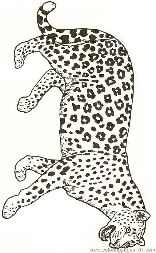 jaguar coloring pages printable - photo #33