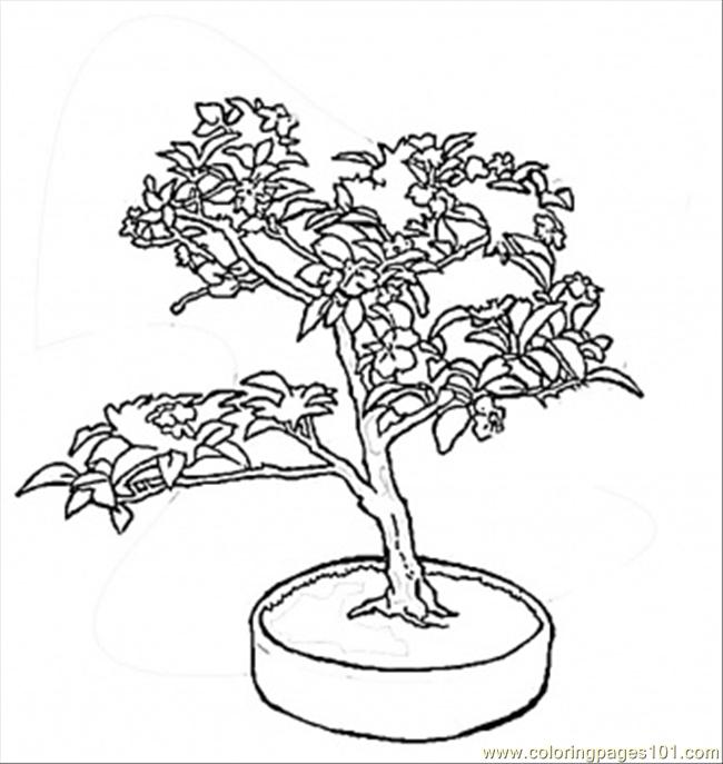 free printable coloring image Sakura Wood