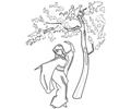 Dance Under Sakura Wood