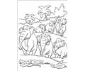 Junglebook06