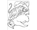 Junglebook26