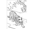 Junglebook41