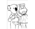Koala Brothers 21