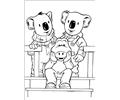Koala Brothers 28